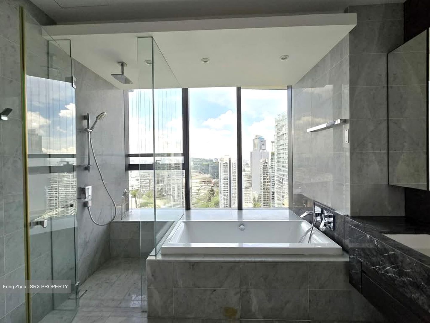 New Futura (D9), Condominium #574248261